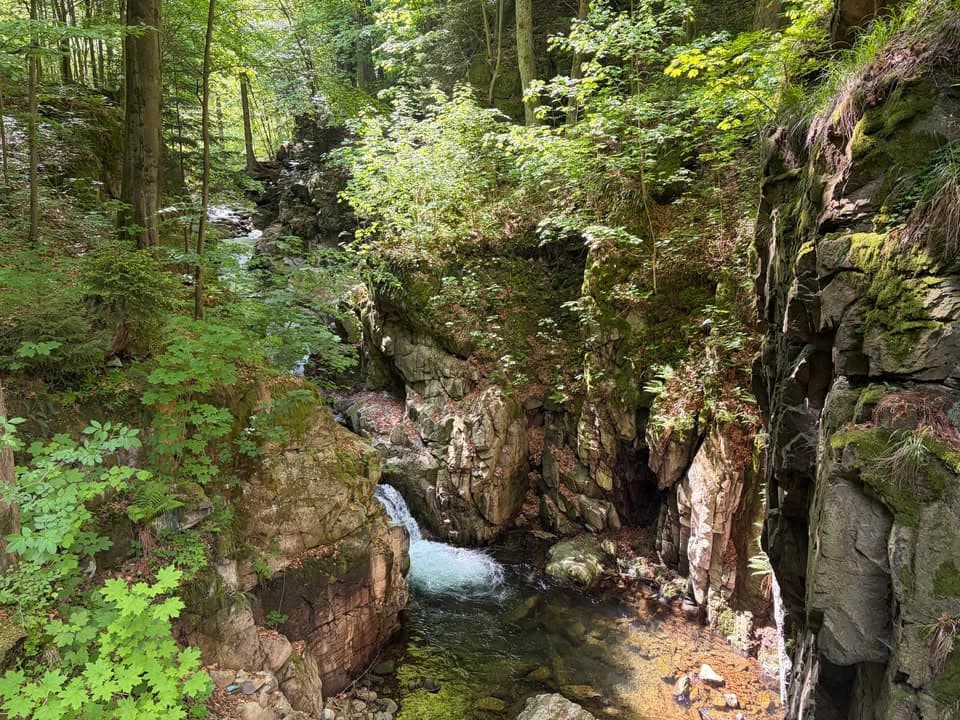 Rozpoczynamy kolejny dzień pełen przygód na Dolnym Śląsku. Przesyłamy pozdrowienia z nad szumiącego wodospadu Wilczki 🏞️